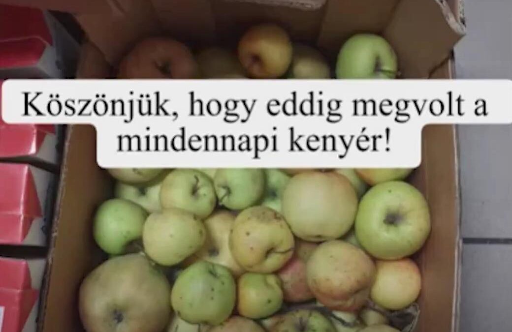 Köszönjük, hogy eddig megvolt a mindennapi kenyér!